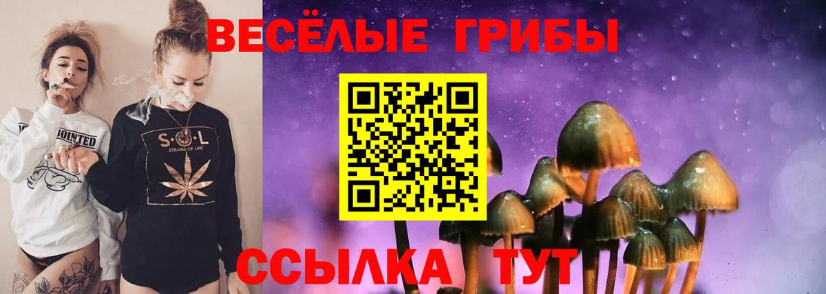 Псилоцибиновые грибы прущие грибы Владикавказ